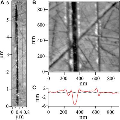 Micro- and Nanowear of Self-Mated Steel Generated and Studied With an AFM at the Single Asperity Level